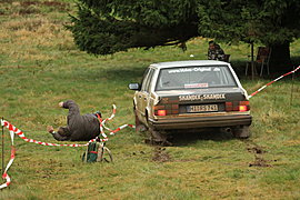 Klik op de afbeelding voor een grotere versie

Naam:  high forest rallye festival 13 november 2010 188.jpg
Bekeken: 163
Grootte:  97,7 KB
ID: 13666